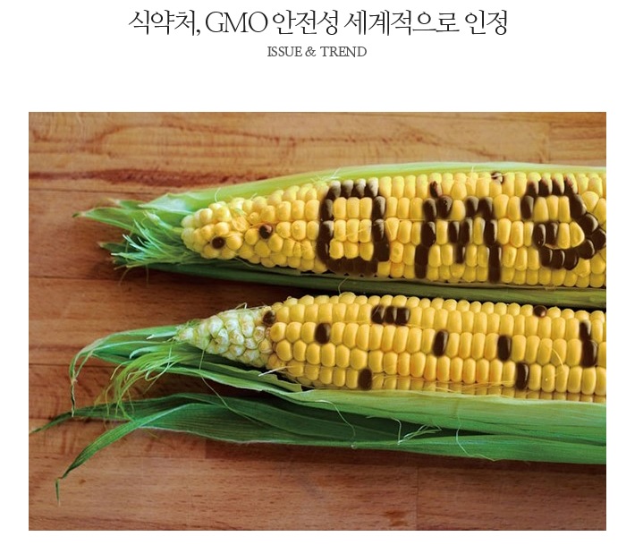 gmo.jpg